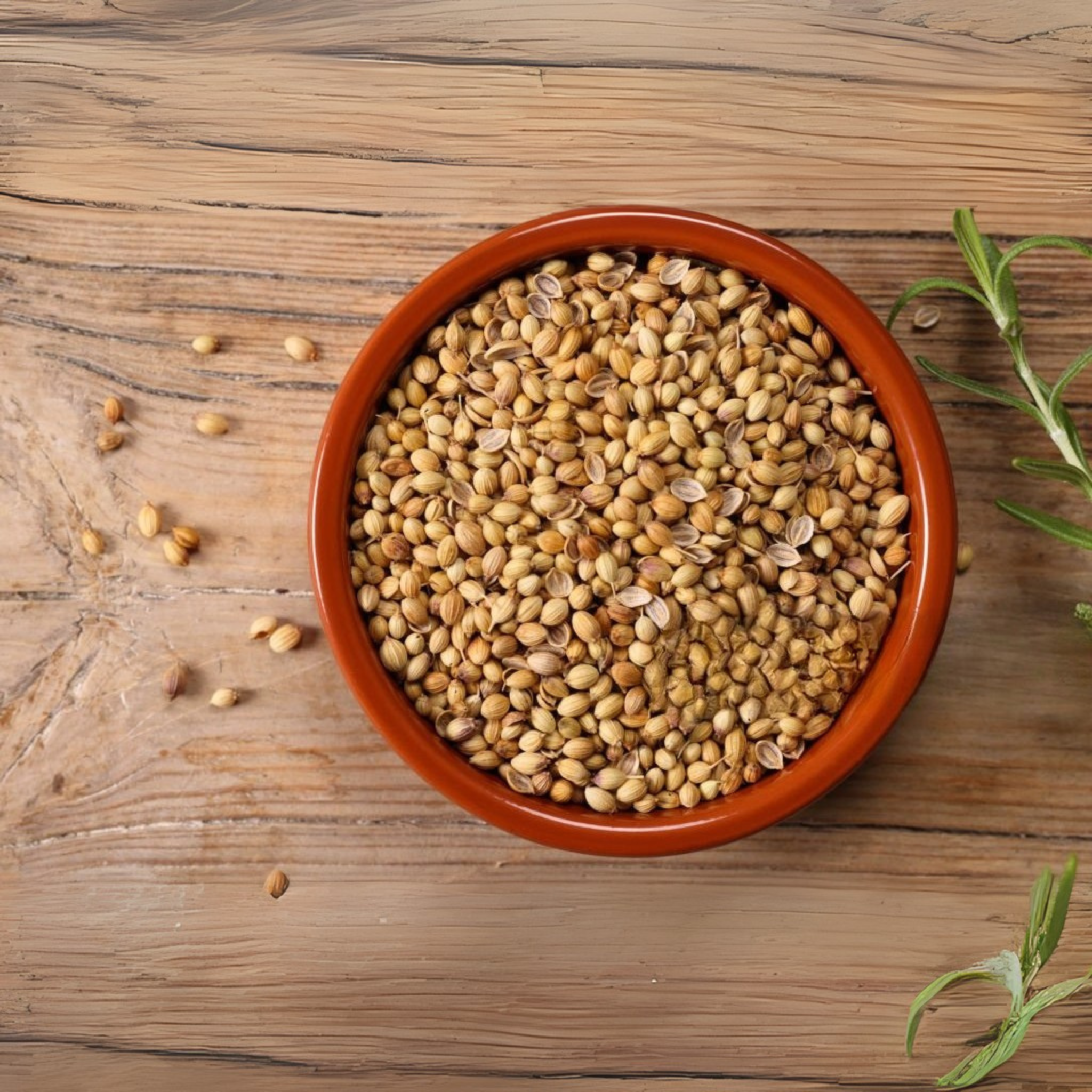 Coriander Seeds -- دھنیا ثابت