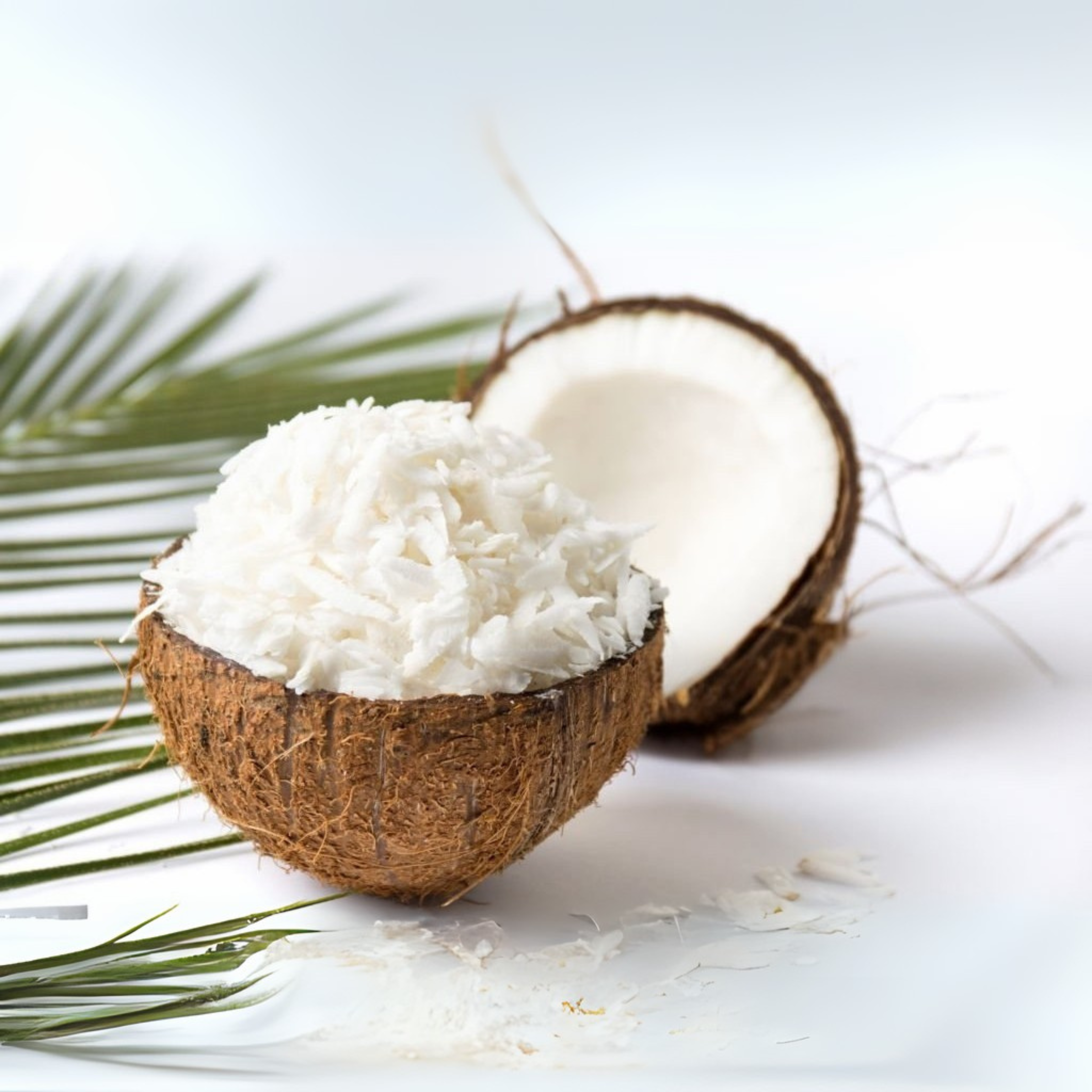 Dried Coconut -- کھوپرا