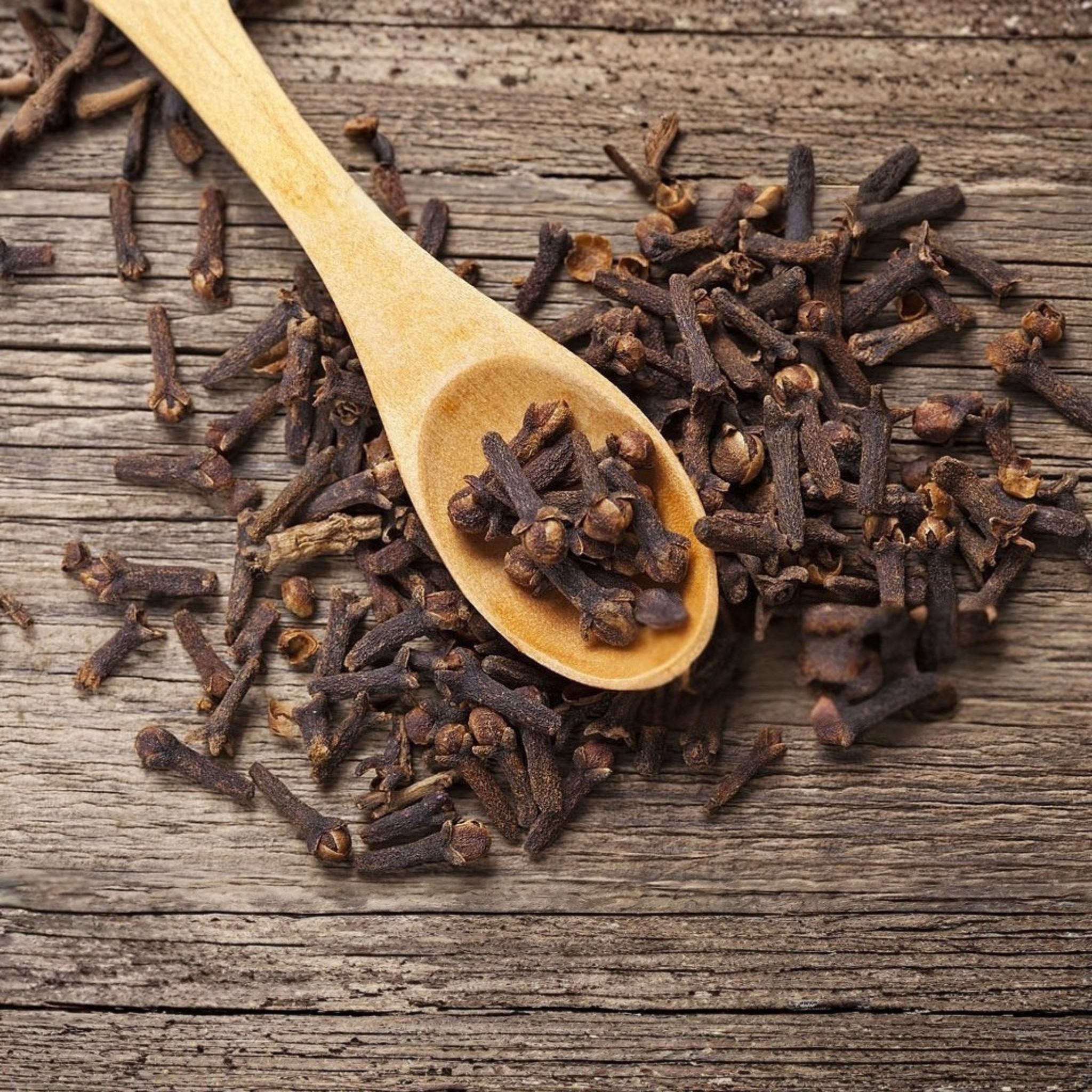 Clove -- لونگ